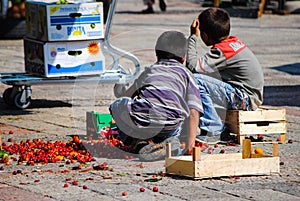 Two boys scattered on the ground red cherries.