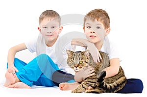 Two boys sitting together with a cat Scottish Straight