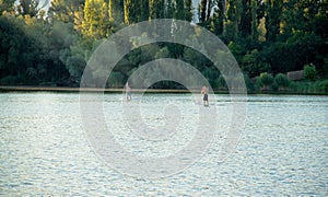 Two Boys Standing on Wakeboards