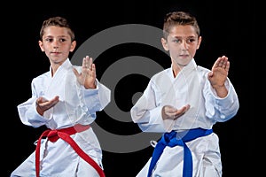 Two boys training karate kata exercises at test qualification