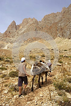 Two boys are traveling with theirs horse