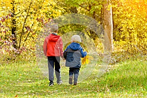 Two boys walking in the autumn forest. Sunny day. Back view