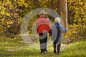 Two boys walking in the autumn park. Sunny day. Back view
