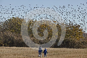 Two boys walking on a field full of blackbirds