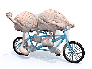 Two brains riding tandem bicycle