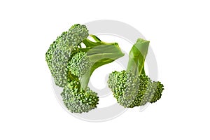 Two branches of fresh green broccoli isolated on white background without shadow