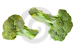 Two branches of fresh green broccoli isolated on white background without shadow