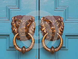 Two brass lion shaped door knocker on wooden door