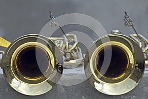 Two brass trumpets.