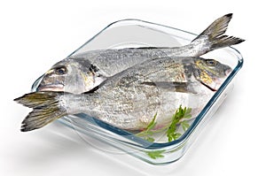 Two bream in glass baking dish