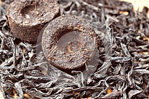 Two bricks of old aroma tea pu-erh