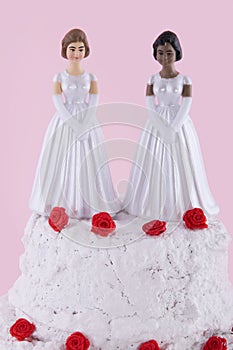 Two brides photo