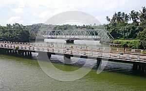 Two bridges sourrounded by forest