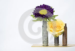 Two Bright Flowers in Vintage Bullet Casings on White Background