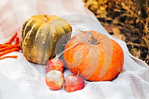 Two bright orange and green pumpkins