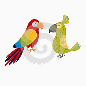 Two bright parrot