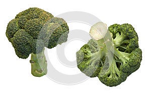 Two broccoli isolated on white