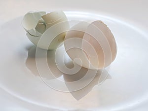 Egg shell on a white plate.