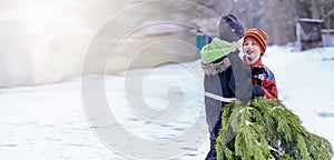 Two brothers carry a pine tree for the birth night. Two boys chose a tree to setting up a Christmas tree