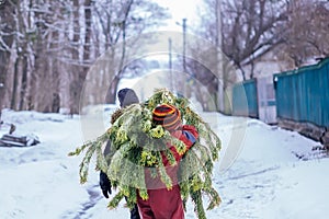 Two brothers carry a pine tree for the birth night. Two boys chose a tree to setting up a Christmas tree.