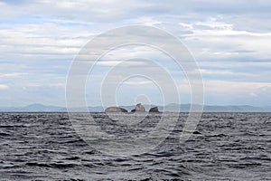 Two Brothers Islands in the Amur Bay