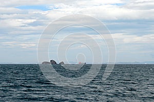 Two Brothers Islands in the Amur Bay