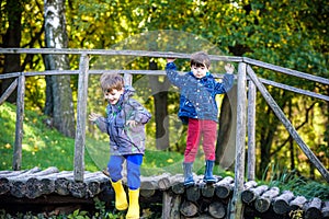 Two brothers sibling boy child crossing little wooden bridge in