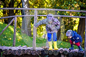 Two brothers sibling boy child crossing little wooden bridge in