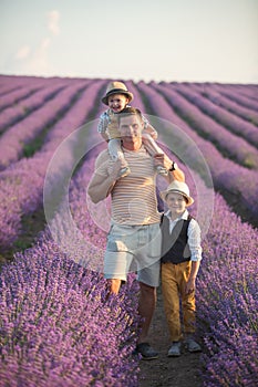 Two brothers and theirs father are walking in a lavender field