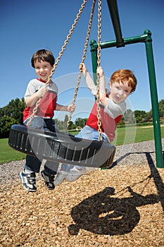 Two brothers on a tire swing