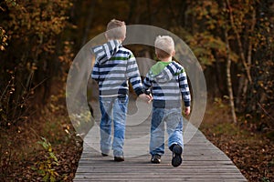 Two brothers walking in the forest on the wooden pathway, siblings hold hands, back view