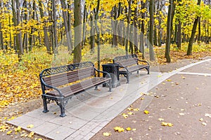 Two brown benches along footpath in the public park against trees with yellow leaves. Autumn landscape