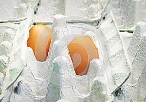 Two brown eggs in empty carton package