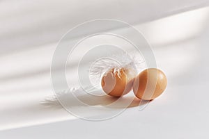 Two brown eggs with feathers on a white