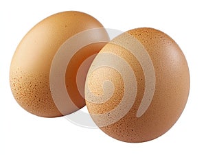 Two brown eggs sit next to each other on a white background