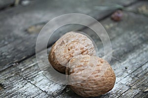 Two nuts on a table