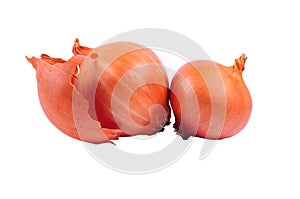 Two brown onions isolated on white backgro