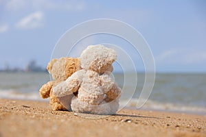 Two brown teddy bears hug sitting on the beach looking on the sea.