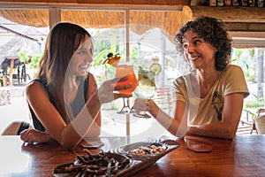 Two brunettes toast each other in bar