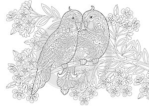 Two budgie parrots in love