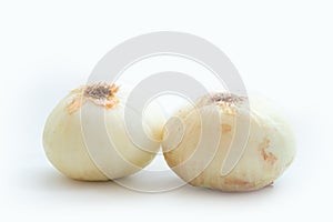 Two bulb onions