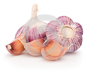 Two bulbs of garlic and cloves isolated on white background