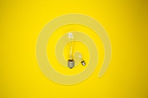 Two bulbs - large and small