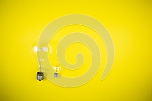 Two bulbs - large and small