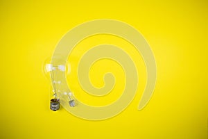 Two bulbs - large and small