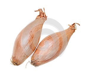 Two bulbs of shallot onion isolated on white