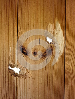 Two bullet through holes in a wooden fence close-up