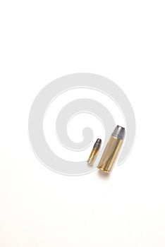 Two bullets of different caliber, one is a .22, the other a .44 Magnum heavyweight.