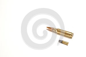 Two bullets, one small and one large. The one below is a .22 soft hollow point, the one above a 7.62 x 51mm NATO.