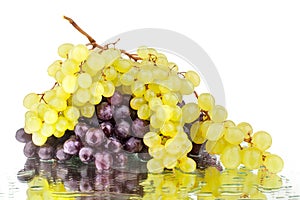 Two bunches of red and white grapes on a white mirror background with reflection and water drops isolated close up